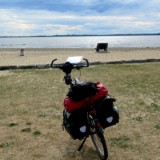 2505F 124 Am Duemmer